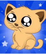 how-to-draw-an-anime-cartoon-kitty-tutorial-drawing